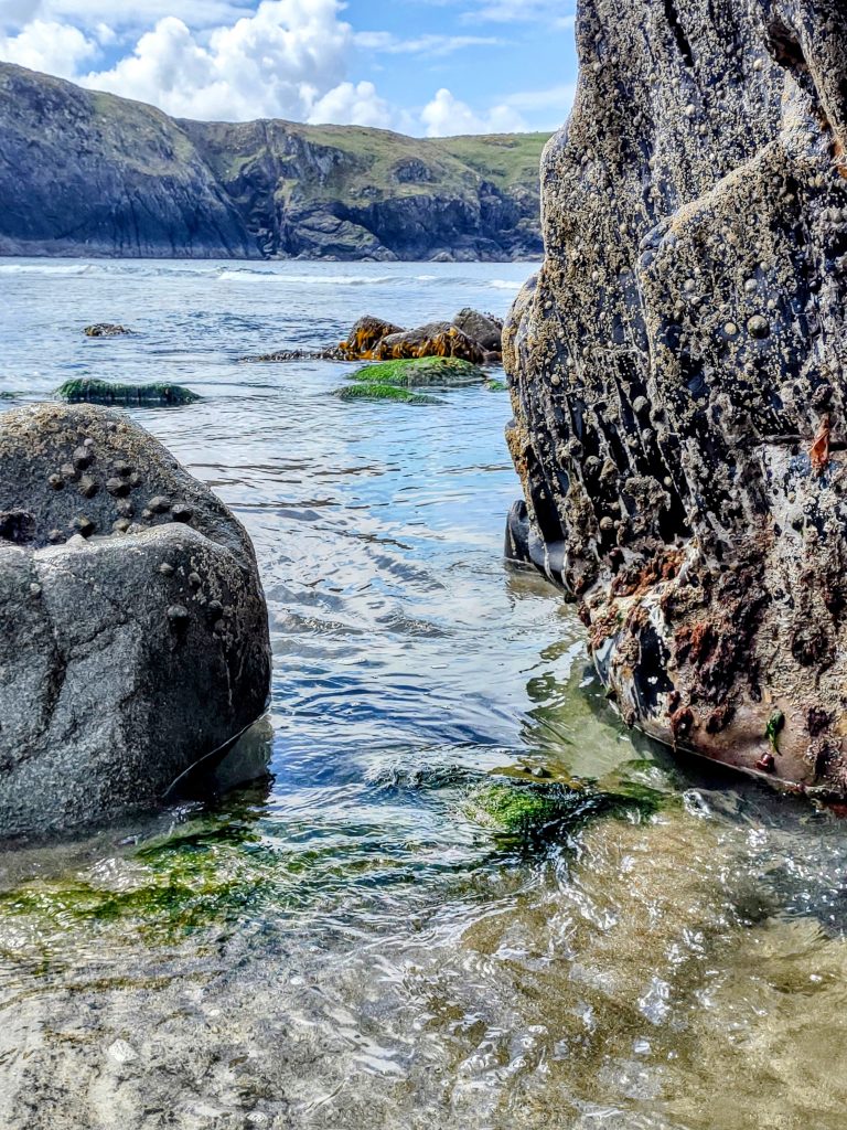 View from a tidal pool across the sea, which is rolling into a bay, towards cliffs in the distance. Seaweed around the rocks and limpets clinging to the rocks. Location featured is Traeth Llyfn, Pembrokeshire