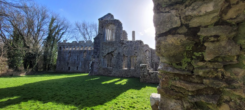 Ruined stone Bishop's Palace building in a grassy field with bare trees alongside on a sunny day. Location is Lamphey Bishop's Palace, Pembrokeshire