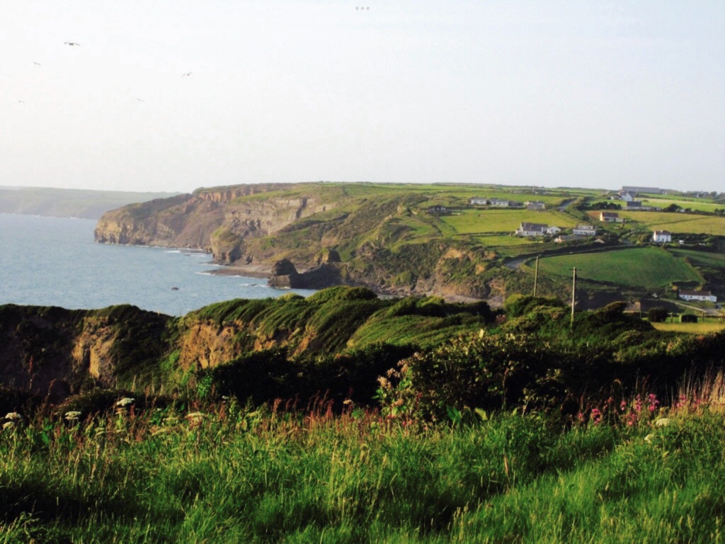 View across a grassy clifftop to a rugged coastline in the distance with houses scattered across the clifftop.