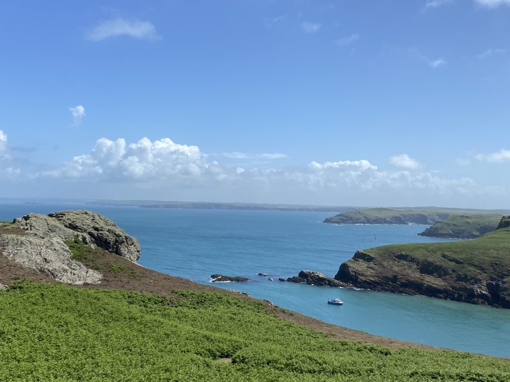 View across a green grassy clifftop out towards calm blue seas with a small boat floating on the surface and rocky headlands in the distance. Location pictured is Skomer Island, Pembrokeshire