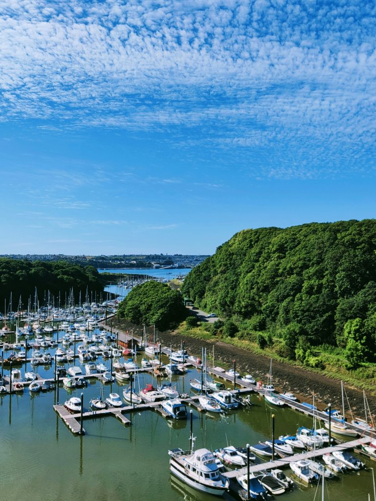 A number of boats moored in a marina flanked by green wooded areas on either side. The water in the marine is a greeny colour and very calm. In the background you can see the entrance to the marine with houses on the cliffs in the far distance opposite the marine. Pictured location is Neyland Yacht Haven, Pembrokeshire