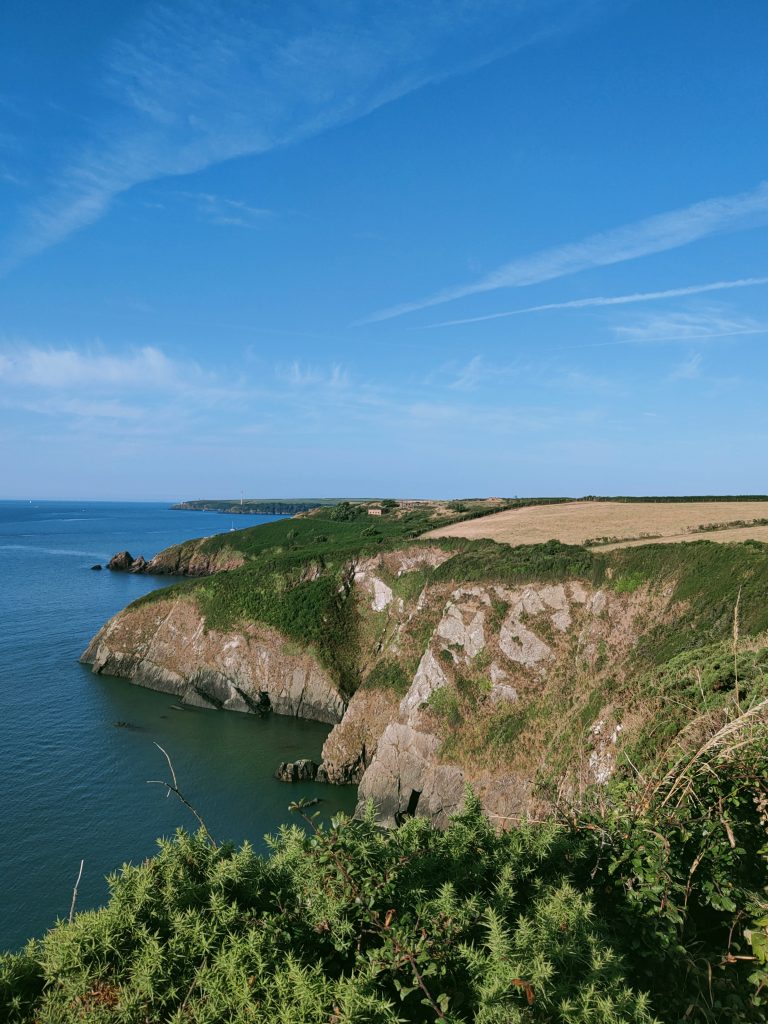 View across a number of small headlands extending out into the calm blue sea on a sunny day with blue skies above. The clifftops are covered with a smattering of green grass and gorse with yellow dry fields behind. Location pictured is St Anne's Head, Pembrokeshire