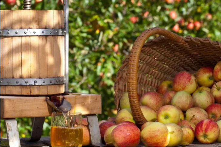 Image showing basket of apples next to apple press