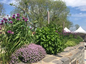 Garden Tour at Carew Castle
