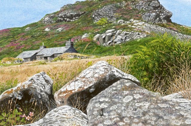 Artists Retreat Garn Fawr Graham Brace