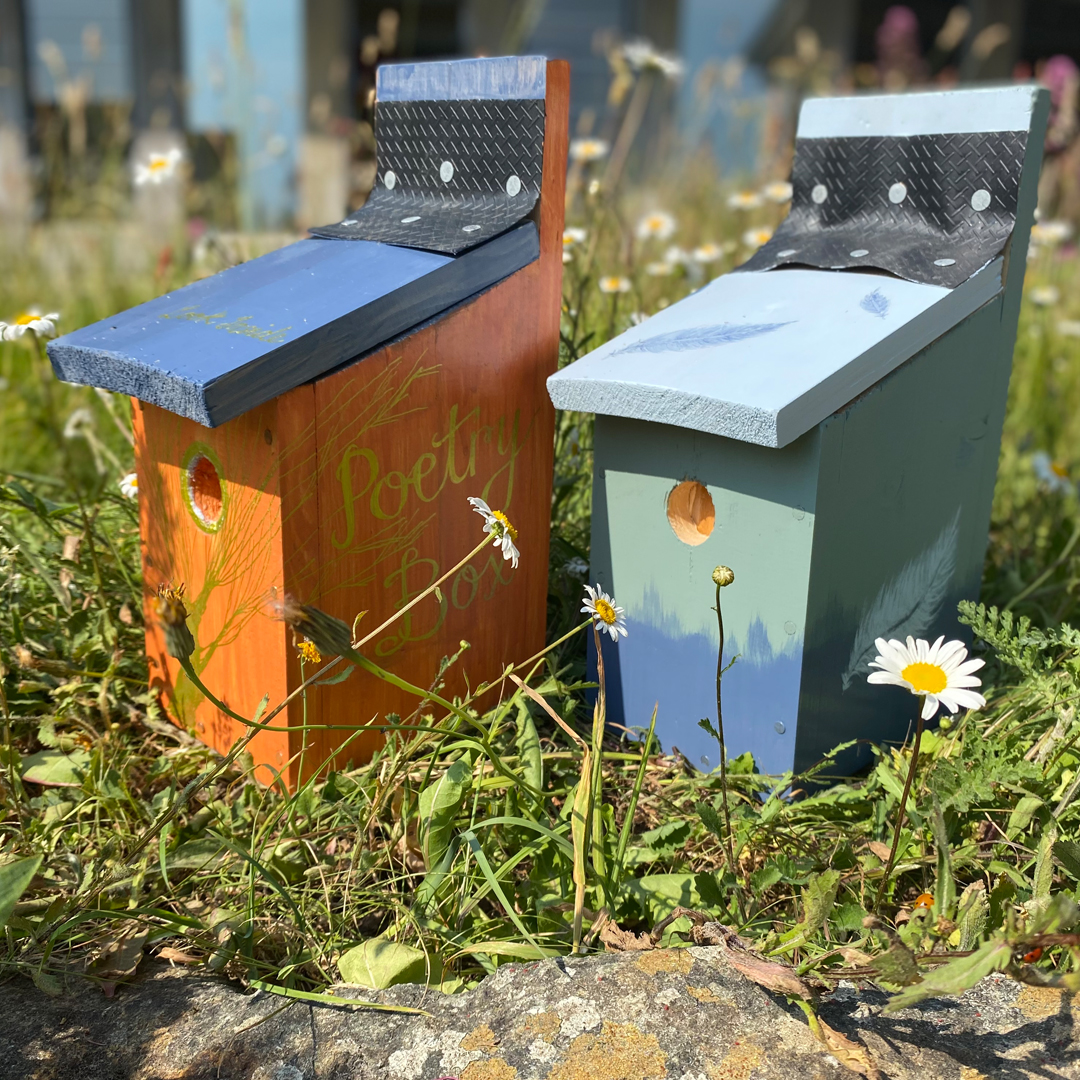 Two wooden bird boxes placed among ox eye daisies on the ground.
