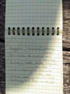Poem written in a notebook. It reads: Ragwort, knapweed, bramble clover All these we saw on our ramble Butterfly, beetle, ladybird and bee Just a few of the creatures we see Willow, ash, gorse and sloe, Watching our step as we go.
