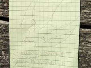 A drawing of a bird and a poem drawn/written in notepad. The Poem reads: Swallows and stonechat Whitethroat, common blue, goldfinch. Peace.