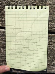 A drawing of a bird and a poem drawn/written in notepad. The Poem reads: Swallows and stonechat Whitethroat, common blue, goldfinch. Peace.