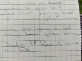 Poem written in a notebook. It reads: The wind rolling through the trees Pulsing warm air among the green leaves Dark clouds forming ahead of a summer yellow warning.  Long grass going to seed turning golden brown Standing tall before the summer rain falls