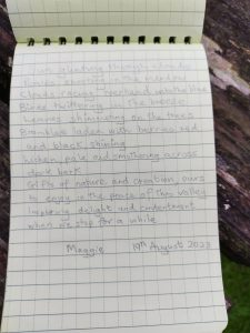 Poem written in a notebook. It reads: Sun ghosting through clouds Ponies snorting in the meadow Clouds racing overhead into the blue Birds twittering in the breeze  Leaves shimmering on the trees Brambles laden with berries red and black, shining Lichen, pale and smothering across dark bark Gifts of nature and creation, ours to enjoy in the peace of valley Inspiring delight and contentment when we stop for a while.  Maggie 19th August 2023.