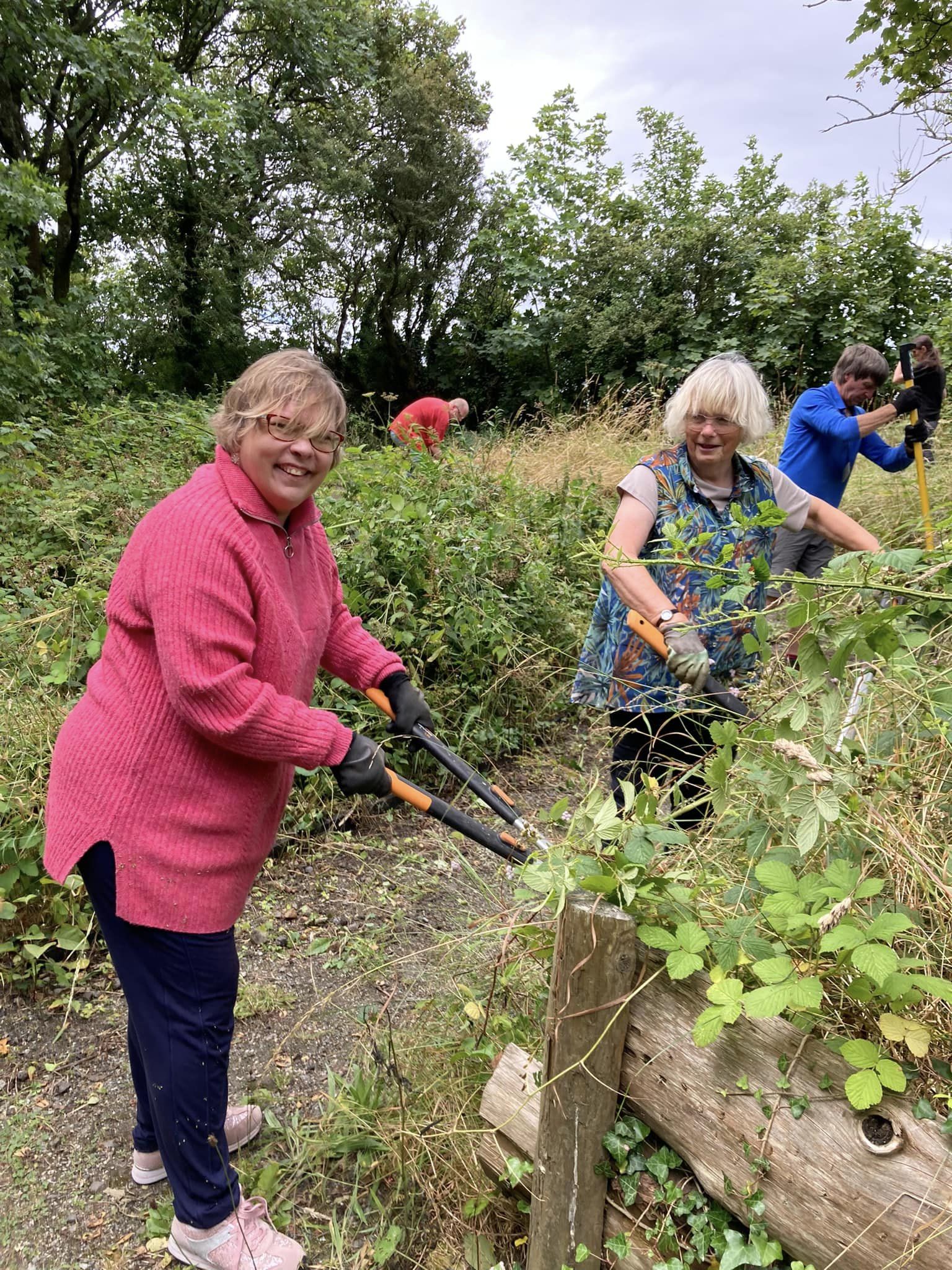 People trimming back hedgerow using shears