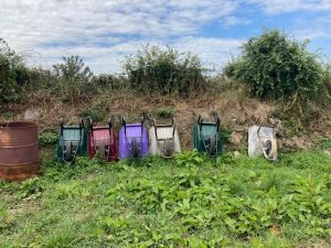 row of colourful wheelbarrows