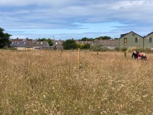 image of community orchard