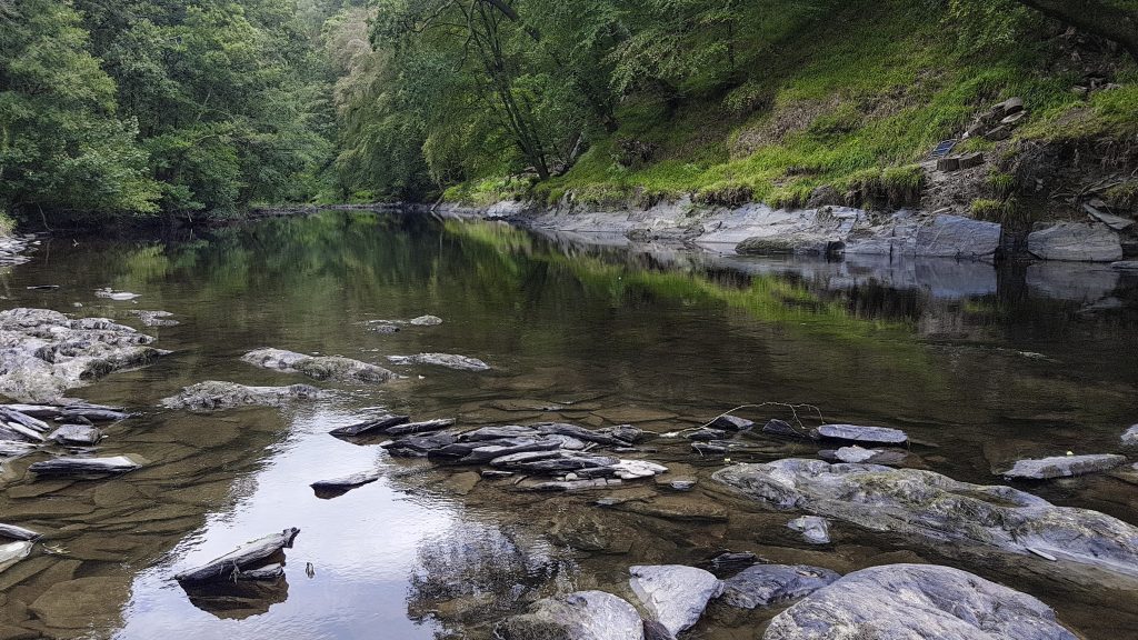 Afon Teifi River