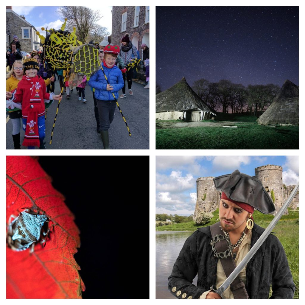 A collage of four photos, showing children at the head of last year's Dragon Parade, dark skies over Castell Henllys, a biofluorescent insect on a leaf and a pirate outside Carew Castle.