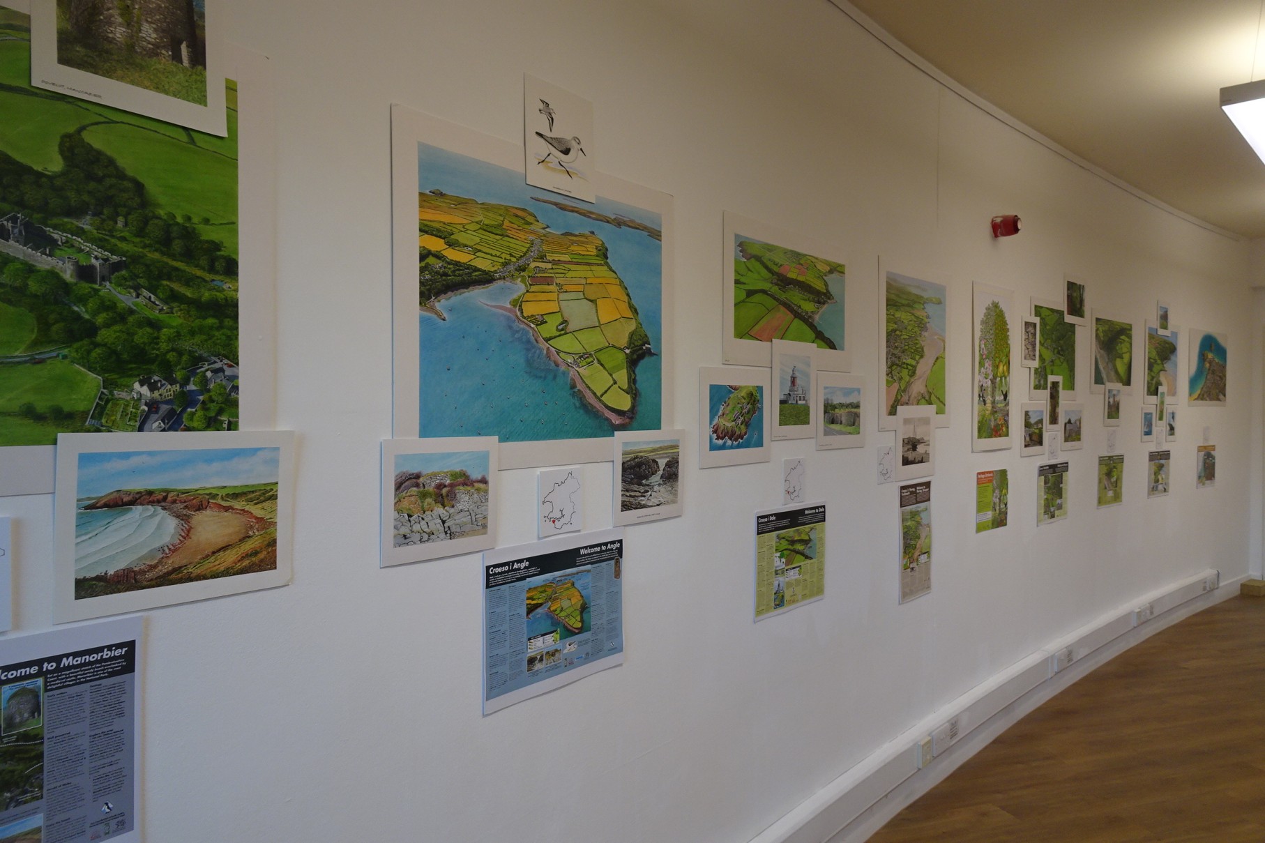 Graham's illustrations on display