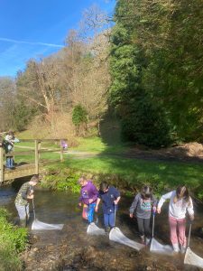 Children river dipping with nets