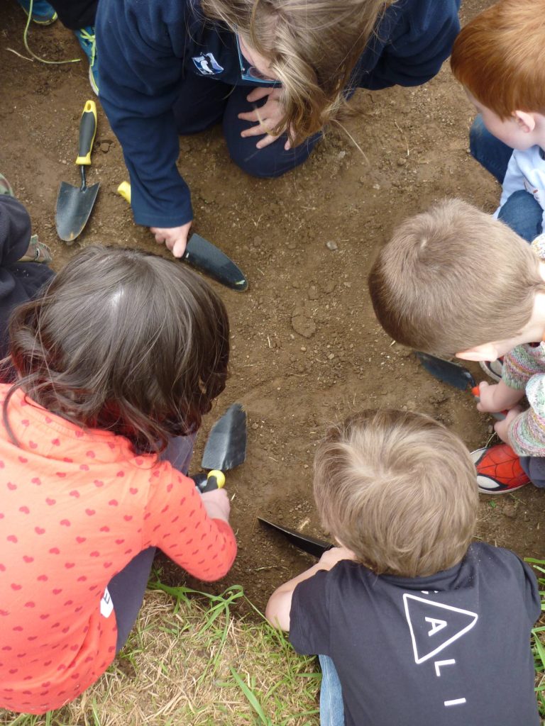 A group of children with trowels gathered around a patch of soil