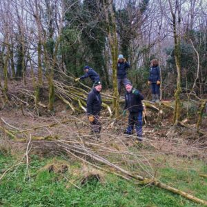 Volunteers with the Pathway project clearing branches and undergrowth in a forest.