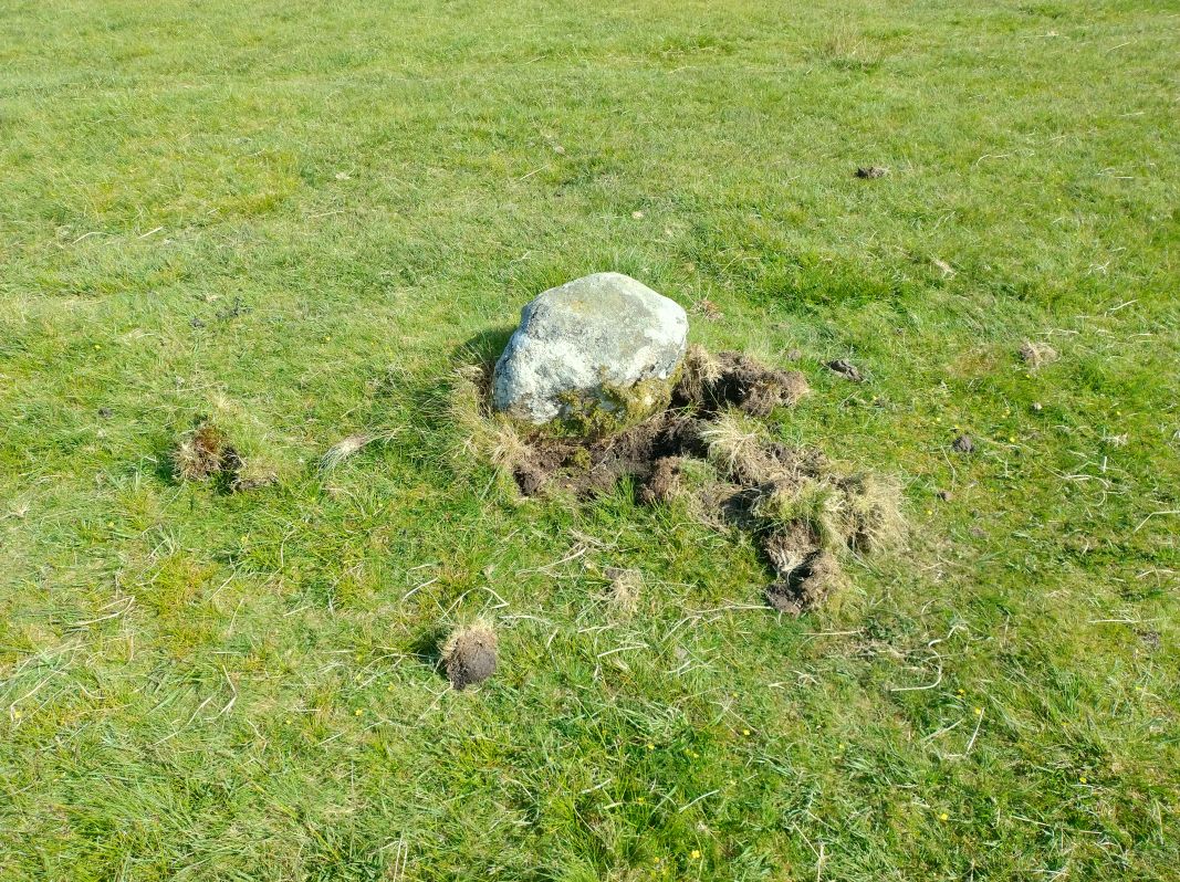 A standing stone at Gors Fawr with attempts to dig around the base