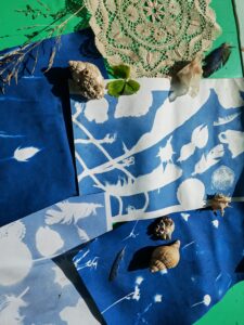 an image of cyanotype prints